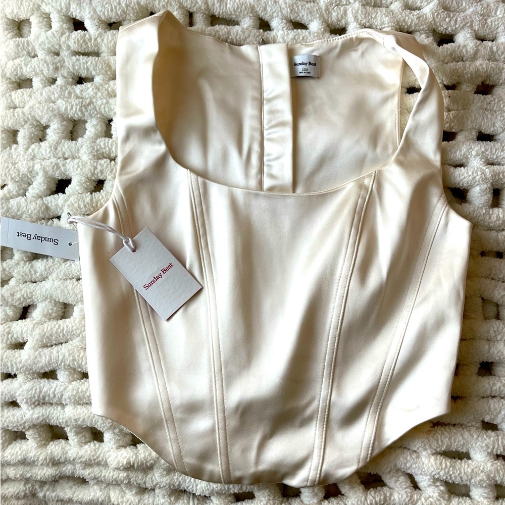 Aritzia Shiloh Bustier Crop Top
